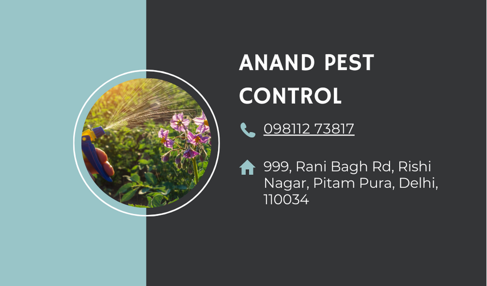 Pest-Control