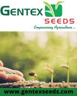 GENTEX SEEDS