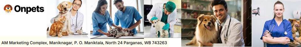 veterinary
