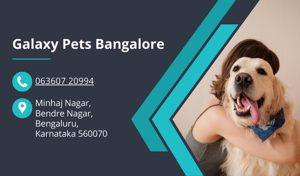 Galaxy_Pets_Bangalore