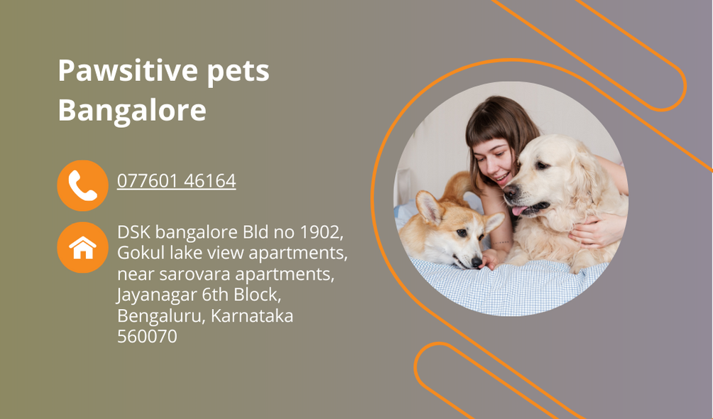 Pawsitive_pets_Bangalore