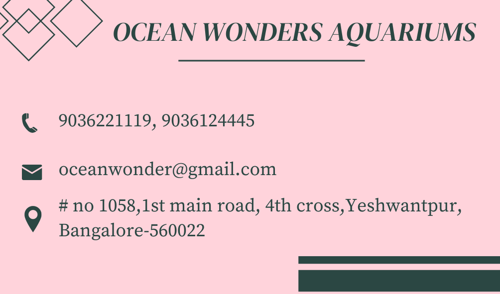 oceanwonder