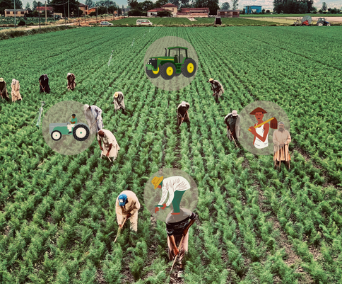 Agriculture_P